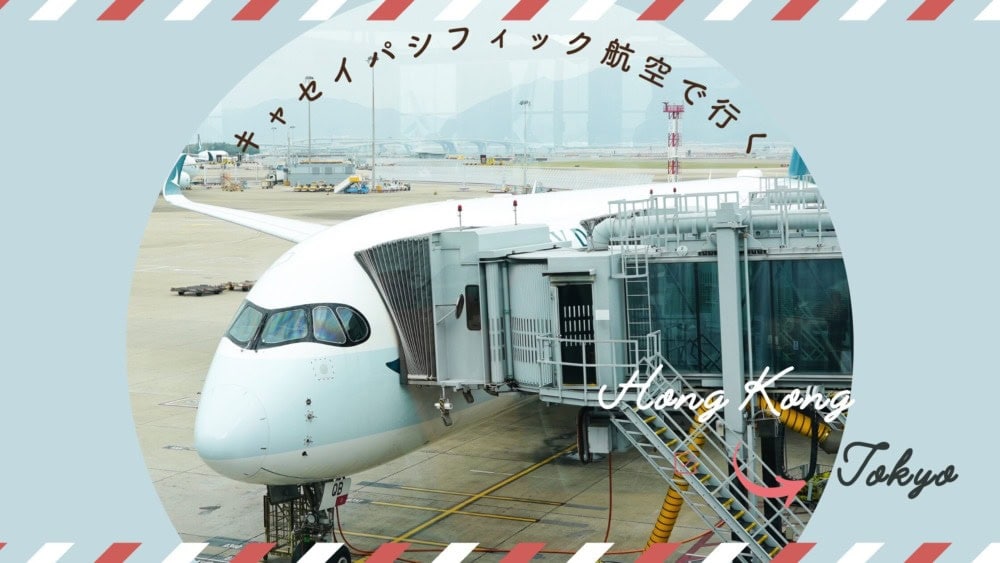 プレミアム商品)日本エアシステムのキャビンアテンダントのエプロン